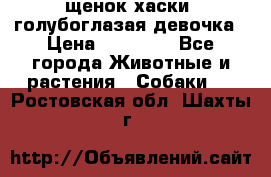 щенок хаски  голубоглазая девочка › Цена ­ 12 000 - Все города Животные и растения » Собаки   . Ростовская обл.,Шахты г.